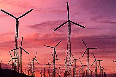 Epic喜加一：《帝国霸业-银河生存》《幸存者苦难》免费